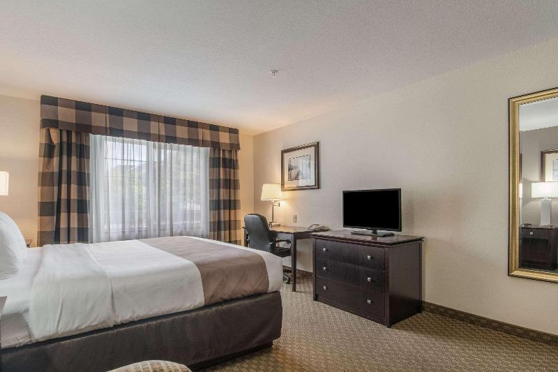 수피리어 룸, Suma