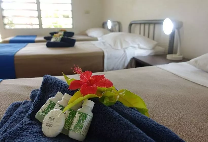 Letto in Camera Condivisa, Oasis Palms