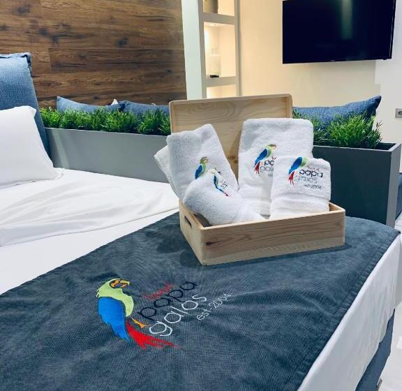 정원 전망 디럭스 3인룸, Papagalos