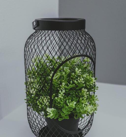 디럭스 룸 바다 전망, Papagalos