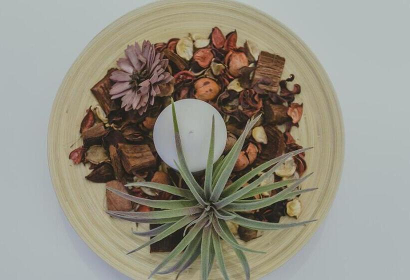 바다 전망 디럭스 3인룸, Papagalos