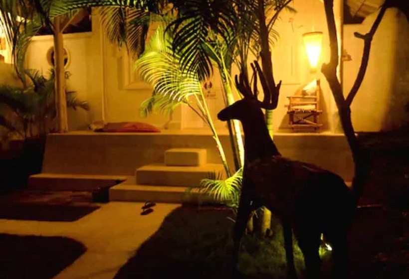 غرفة قياسية, Sal Secret Spot