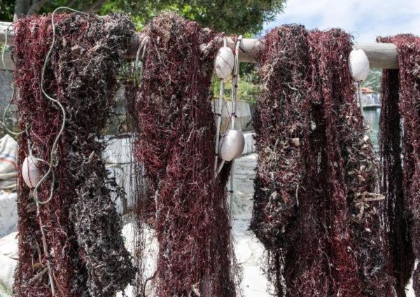 غرفة قياسية مطلّة علي البحر, Guest House Busurelo