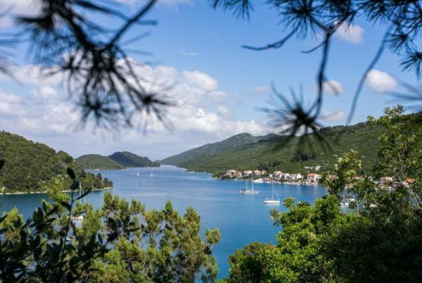 إستوديو قياسى مطل على البحر, Guest House Busurelo