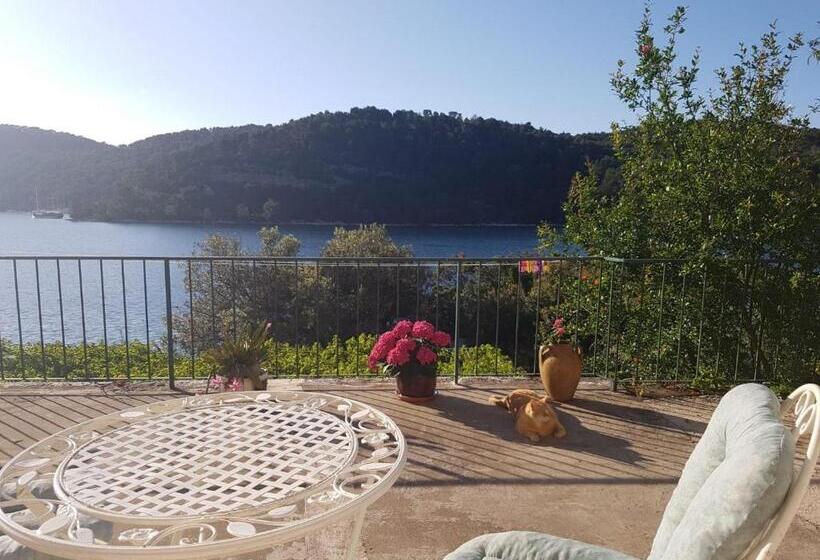 شقة غرفة واحدة مطلة على البحر, Guest House Busurelo