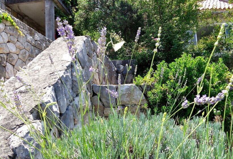 إستوديو قياسى مطل على البحر, Guest House Busurelo