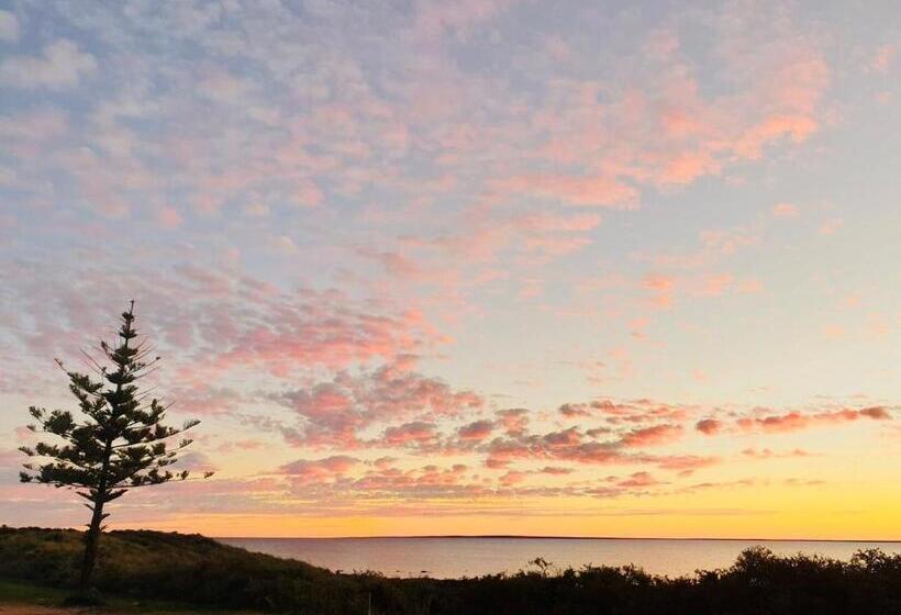 اتاق استاندارد, Highway One Motel