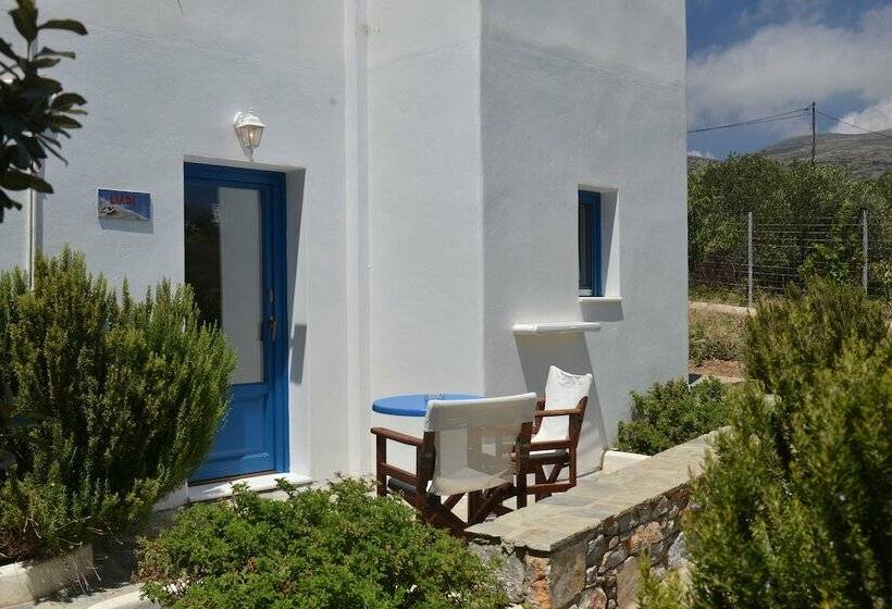 غرفة قياسية, Amorgion