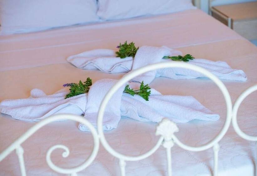Номер Стандарт, Amorgion