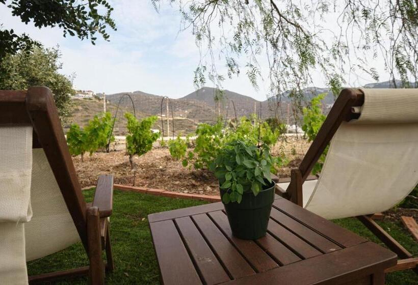 شقة غرفة واحدة مطلة على الحديقة, Amorgion