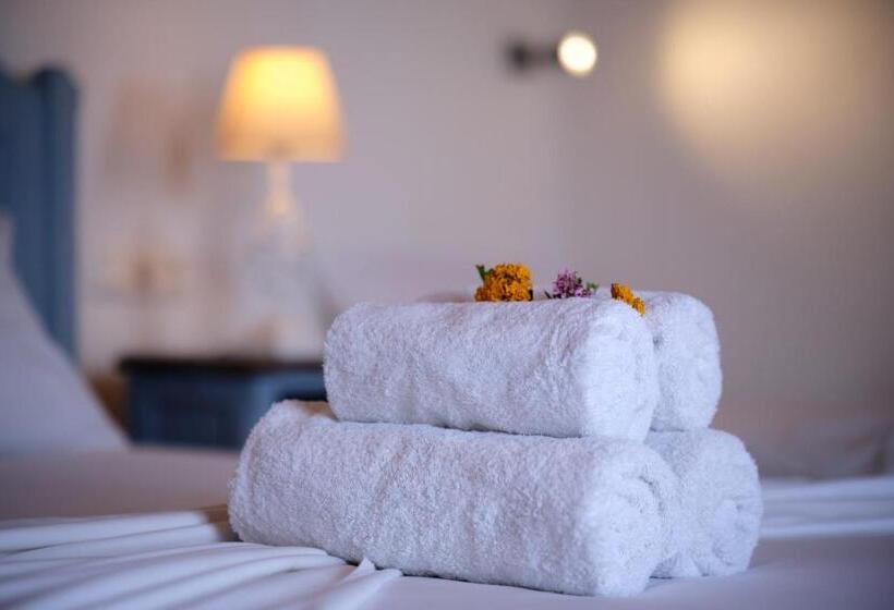 إستوديو قياسى مطل على البحر, Amorgion