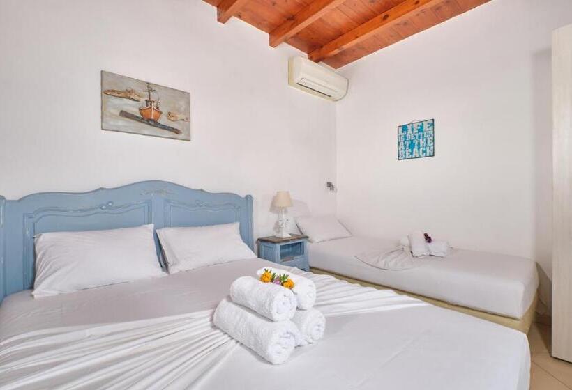 إستوديو قياسى مطل على البحر, Amorgion