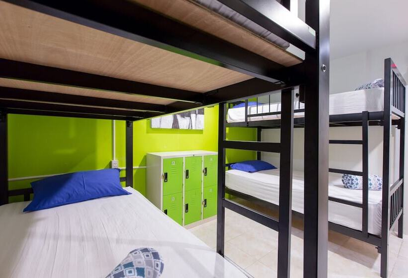 سرير فى غرفة مشتركه, Cool Sea House