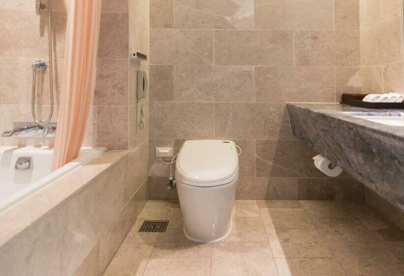 디럭스 룸 산전망, Geoje Samsung