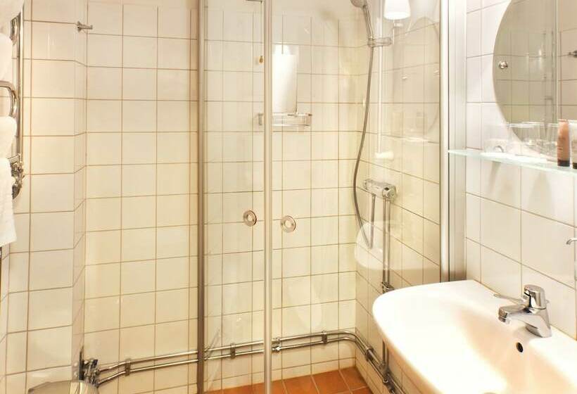 스탠다드 룸, åkeshofs Slott