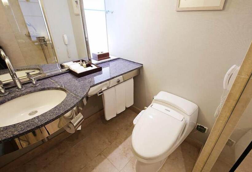 스탠다드 전망 룸, Geoje Samsung