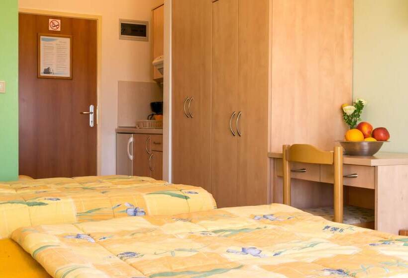 Студия Стандарт Двуспальная Кровать, Guesthouse Villa Irena