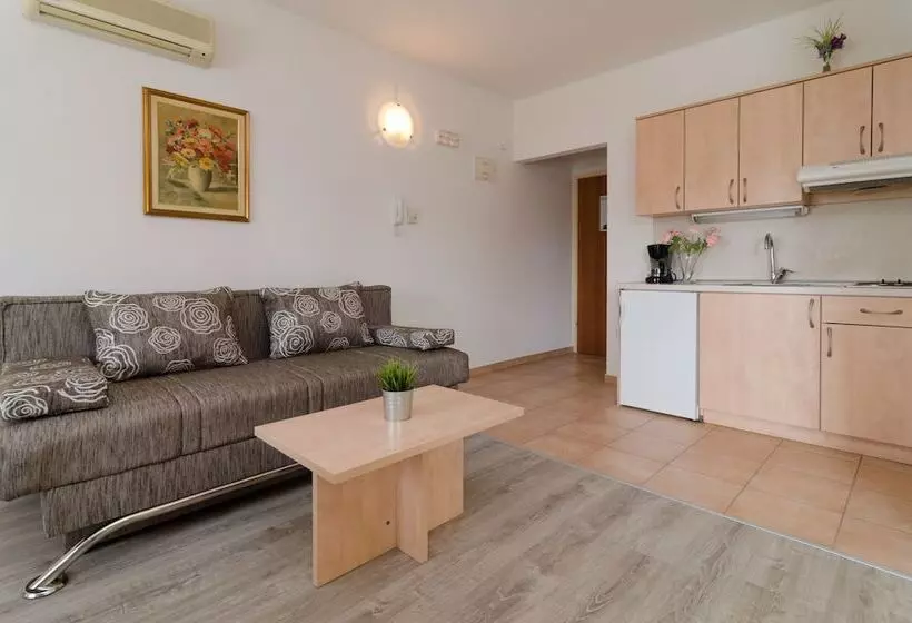 バルコニー付き１ベッドルームアパートメント, Guesthouse Villa Irena