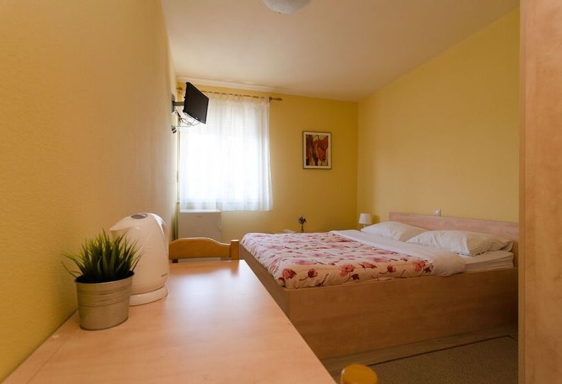 اتاق استاندارد, Guesthouse Villa Irena