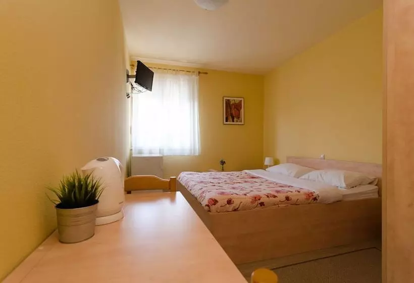 スタンダードルーム, Guesthouse Villa Irena