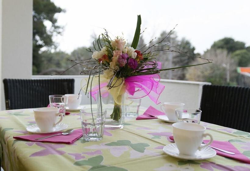 آپارتمان 1 خوابه با بالکن, Guesthouse Villa Irena