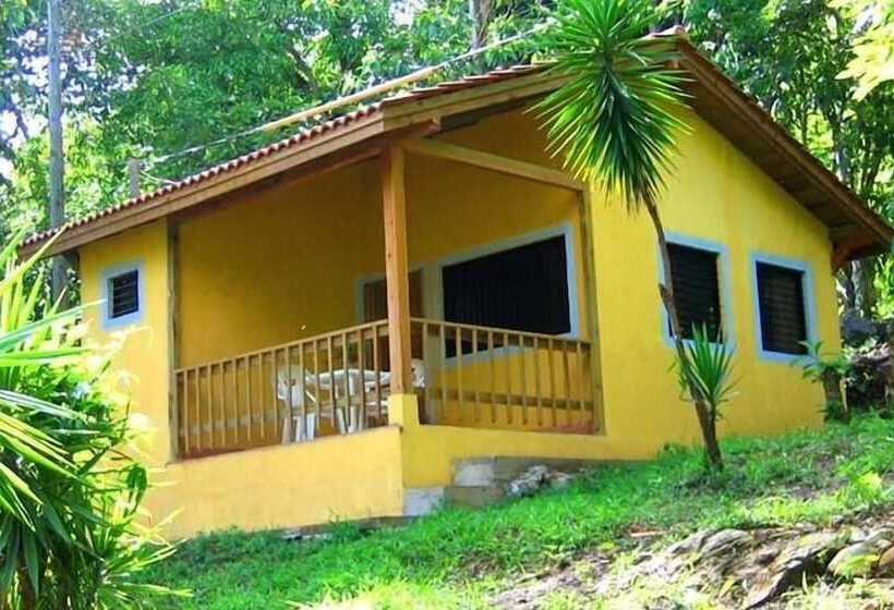 بنگله خانوادگی, Denny S Beach Resort