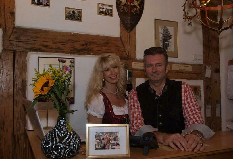 חדר סטנדרט, Nurnberger Hof In Altdorf