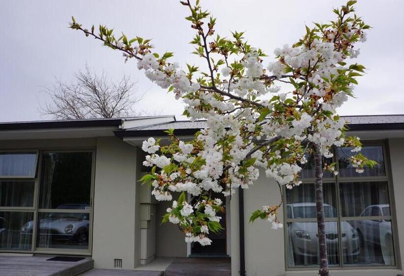 Студия Стандарт, Tower Junction Motor Lodge   Airport And Christchurch Railway Station Shuttle Service