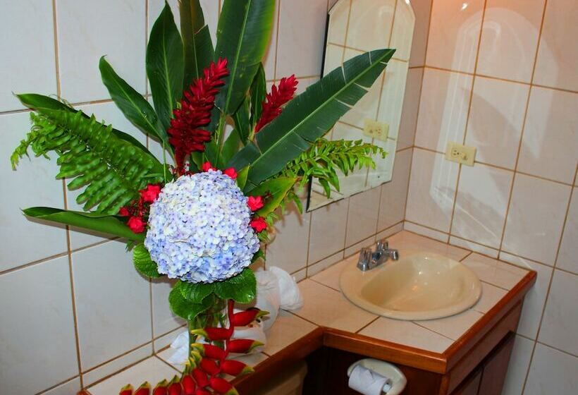 Номер Стандарт, Soluxe El Sesteo