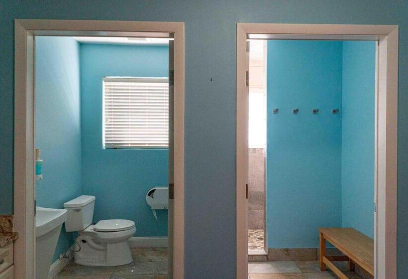 标准间, Beds N' Drinks