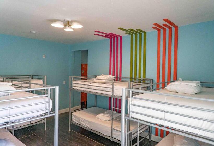 标准间, Beds N' Drinks