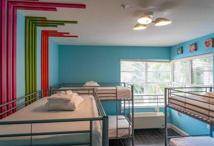 标准间, Beds N' Drinks