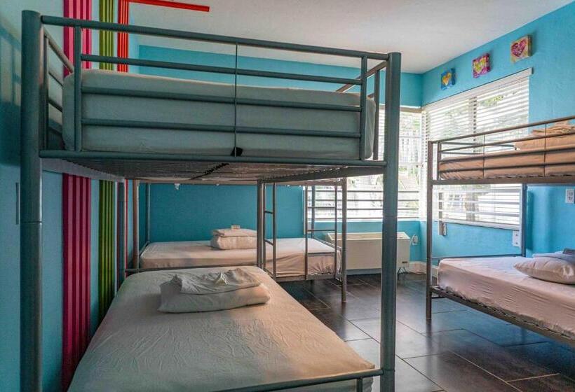חדר סטנדרט, Beds N' Drinks