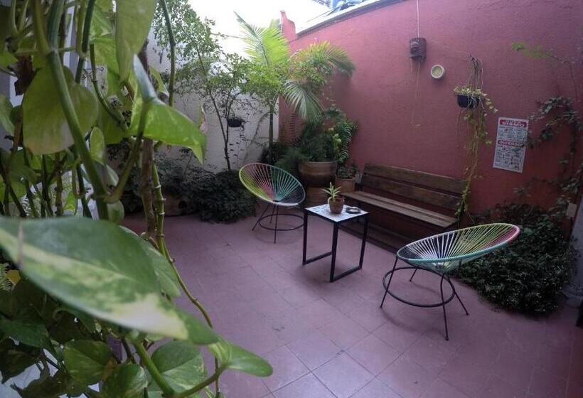 Номер Superior, Hostel Hospedarte Centro