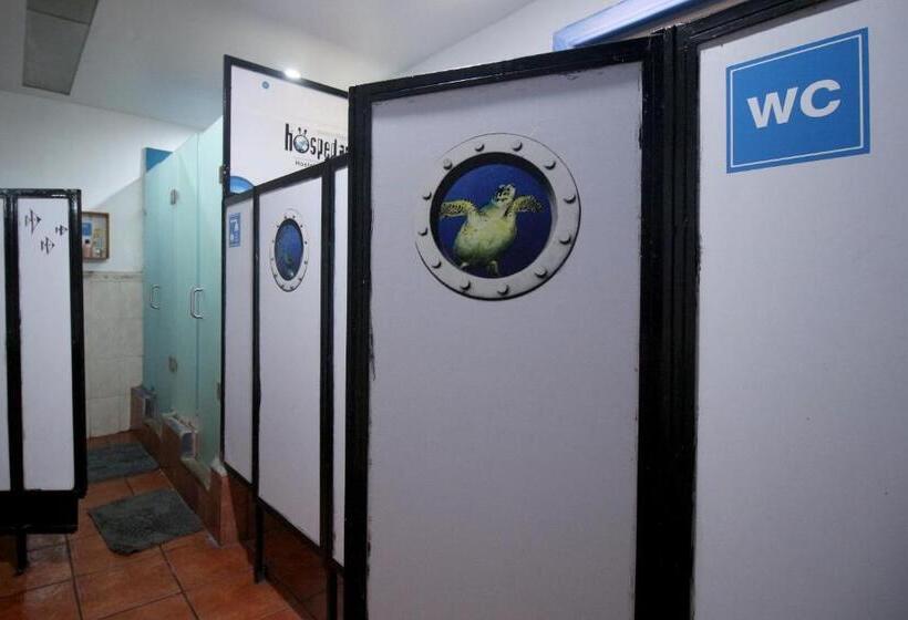 浴室共有スタンダード４人用ルーム, Hostel Hospedarte Centro