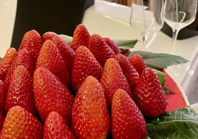 豪华房间, Aquarooms Luxury Suites