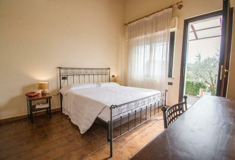 Номер Стандарт, Cantalodole