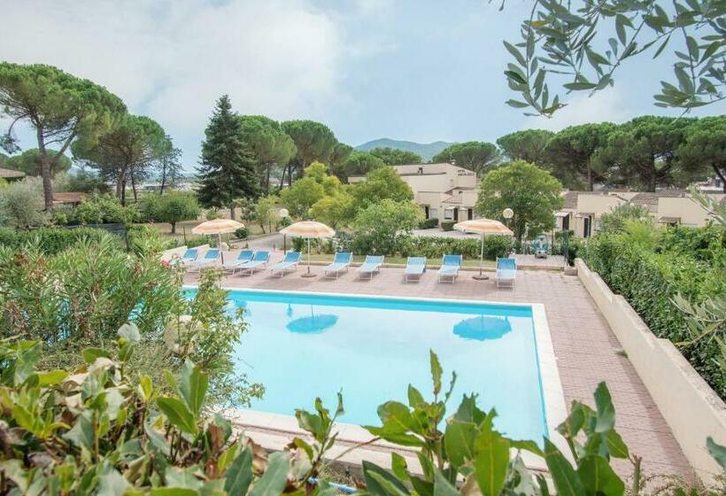 Номер Стандарт, Cantalodole