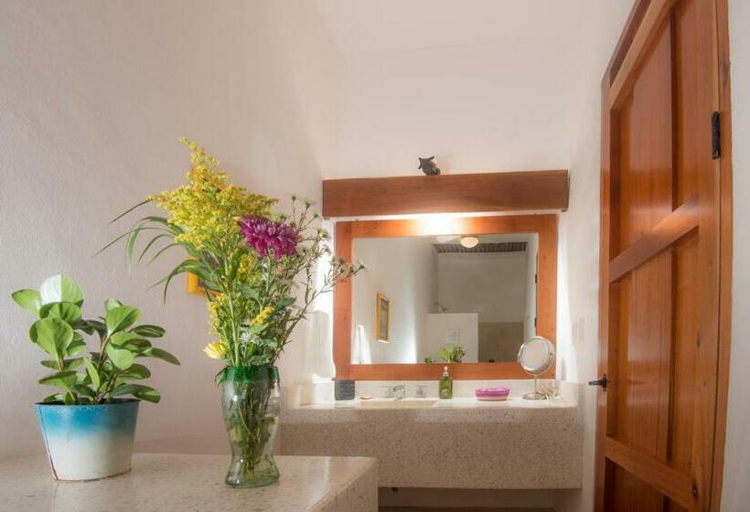 اتاق کلاسیک, Posada San Juan