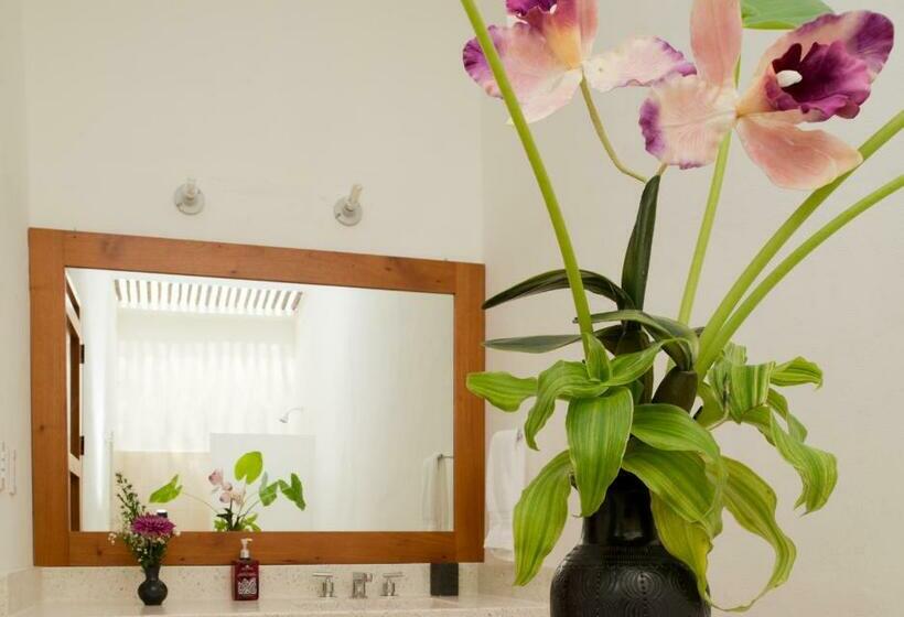 اتاق کلاسیک, Posada San Juan