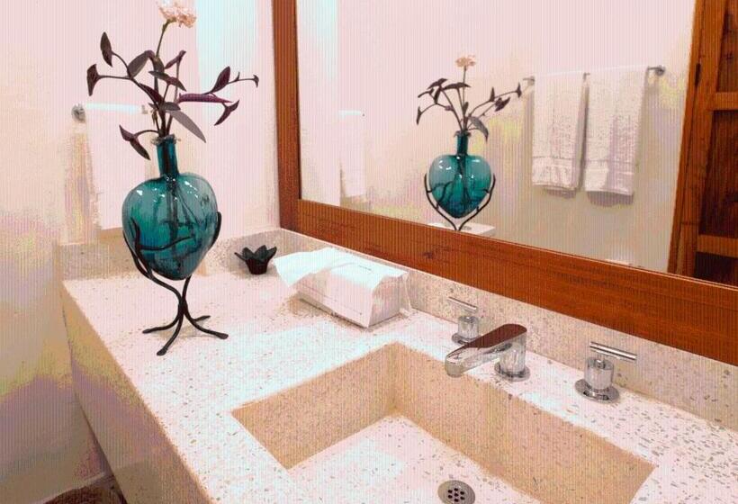 اتاق کلاسیک با تخت دونفره, Posada San Juan