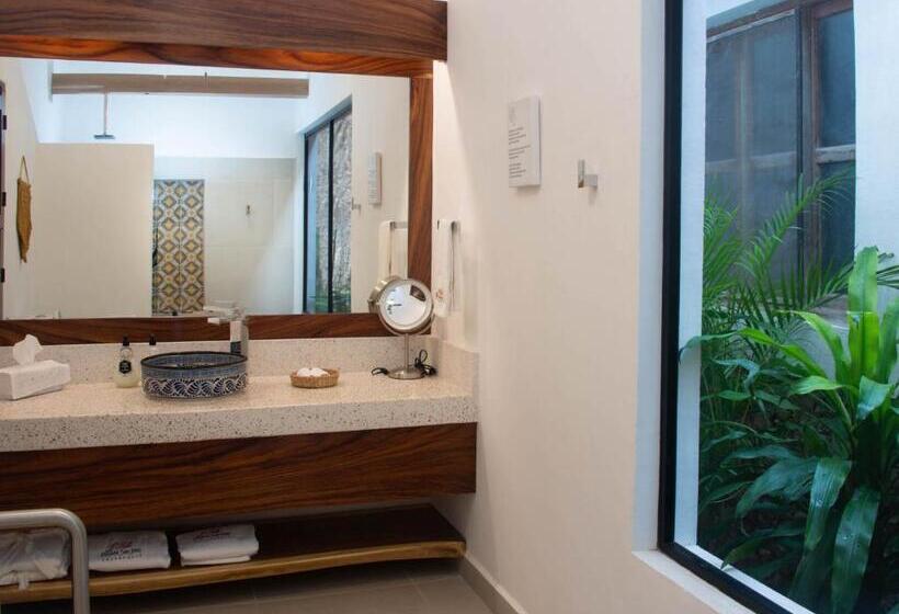 اتاق سوپریور برای معلولان, Posada San Juan