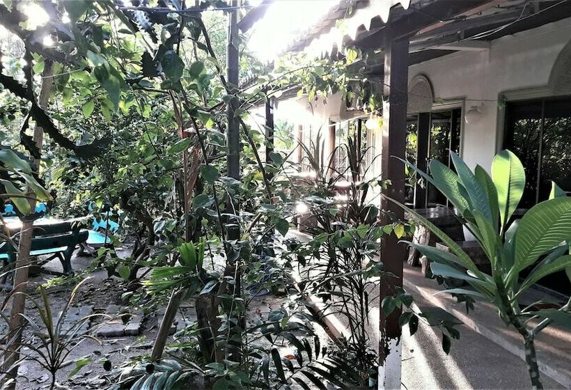 Standardrum, The Guest House   Sha