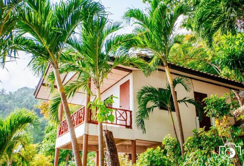 اتاق استاندارد با چشم‌انداز دریا, Venus Resort