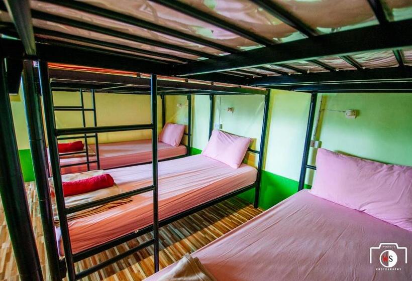 اتاق خانوادگی با سرویس بهداشتی مشترک, Venus Resort