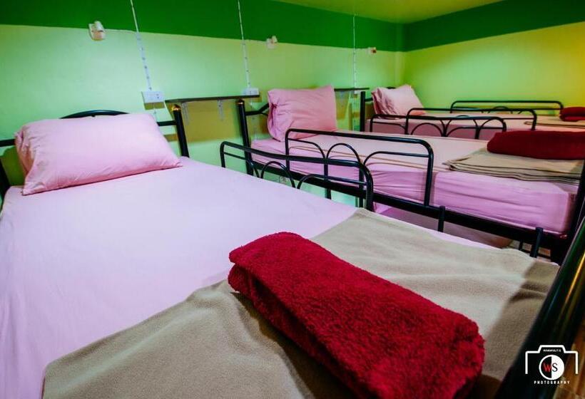 اتاق خانوادگی با سرویس بهداشتی مشترک, Venus Resort