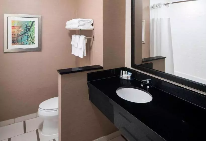 スタンダードルーム, Fairfield Inn & Suites By Marriott Houston Pasadena