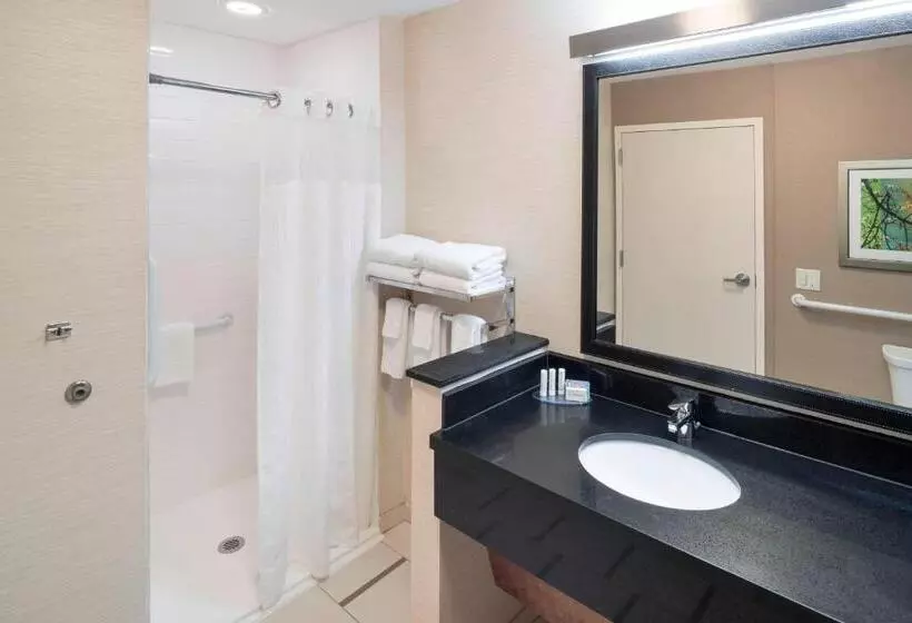 キングサイズベッドのスイートルーム, Fairfield Inn & Suites By Marriott Houston Pasadena