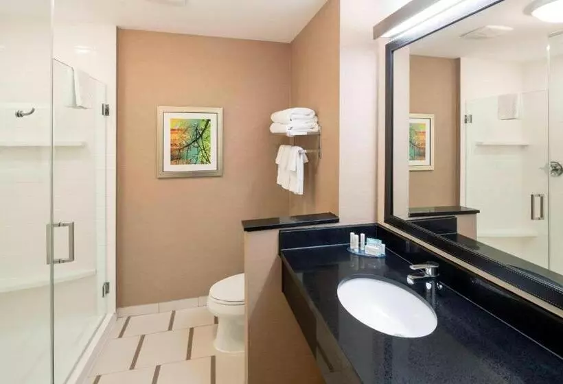 キングサイズベッドのスイートルーム, Fairfield Inn & Suites By Marriott Houston Pasadena