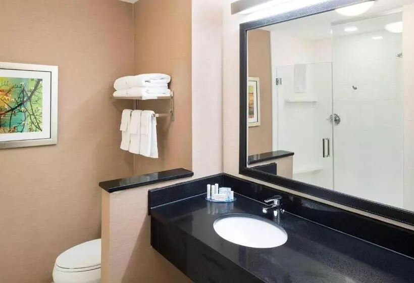 キングサイズベッドのスタンダードルーム, Fairfield Inn & Suites By Marriott Houston Pasadena